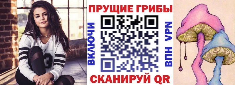 omg как войти наркота Зеленодольск Галлюциногенные грибы прущие грибы